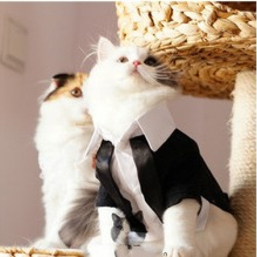 Formal Clothes Wedding Party Suit