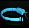 Light-up Flashing Leash Glow