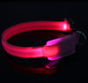 Light-up Flashing Leash Glow