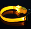 Light-up Flashing Leash Glow