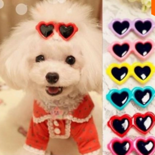 Love Style Boutique Sunglasses